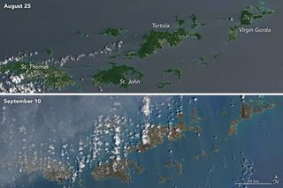 The British and U.S. Virgin Islands have visibly browned after Hurricane Irma's passing. Here, images from the Landsat 8 satellite show the changes from Aug. 25 to Sept. 10.