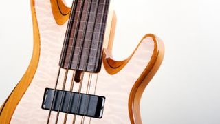 Close up of a fretless bass guitar on a white background