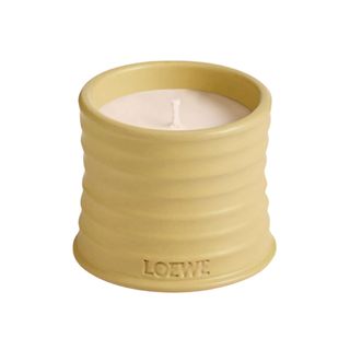 Loewe Honeysuckle Candle