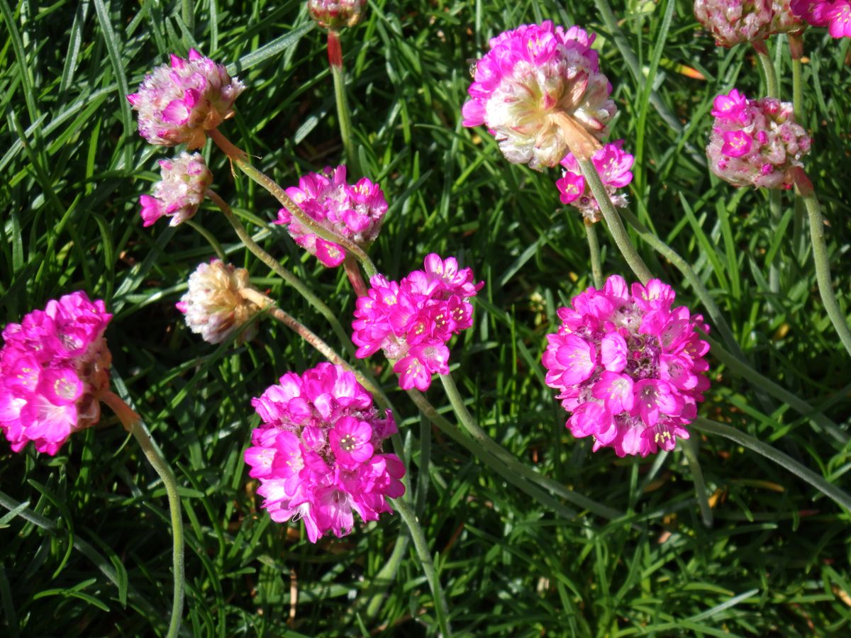 Pentax WG-8 example shot