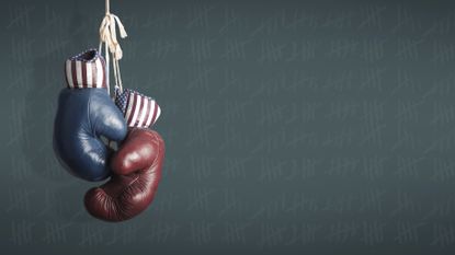 Boxing gloves representing Democrats and Republicans