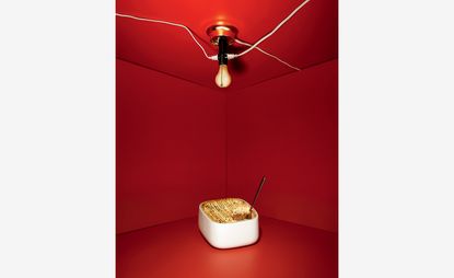 William Eggleston's shepherd's pie