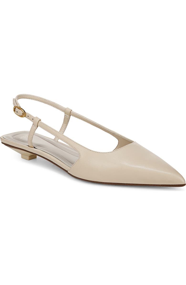 Pheby Slingback Pointed Toe Flat