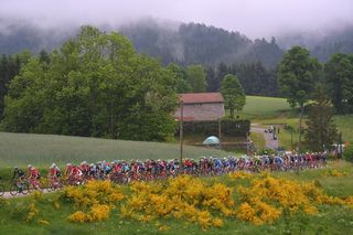 The pack rolls through the mist on stage 1 of the Critérium du Dauphiné