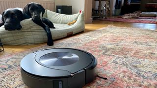 iRobot Roomba Combo J7+ on the carpet with dogs