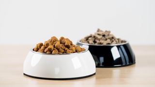 Two bowls of pet food
