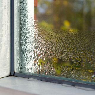 Condensation droplets on window