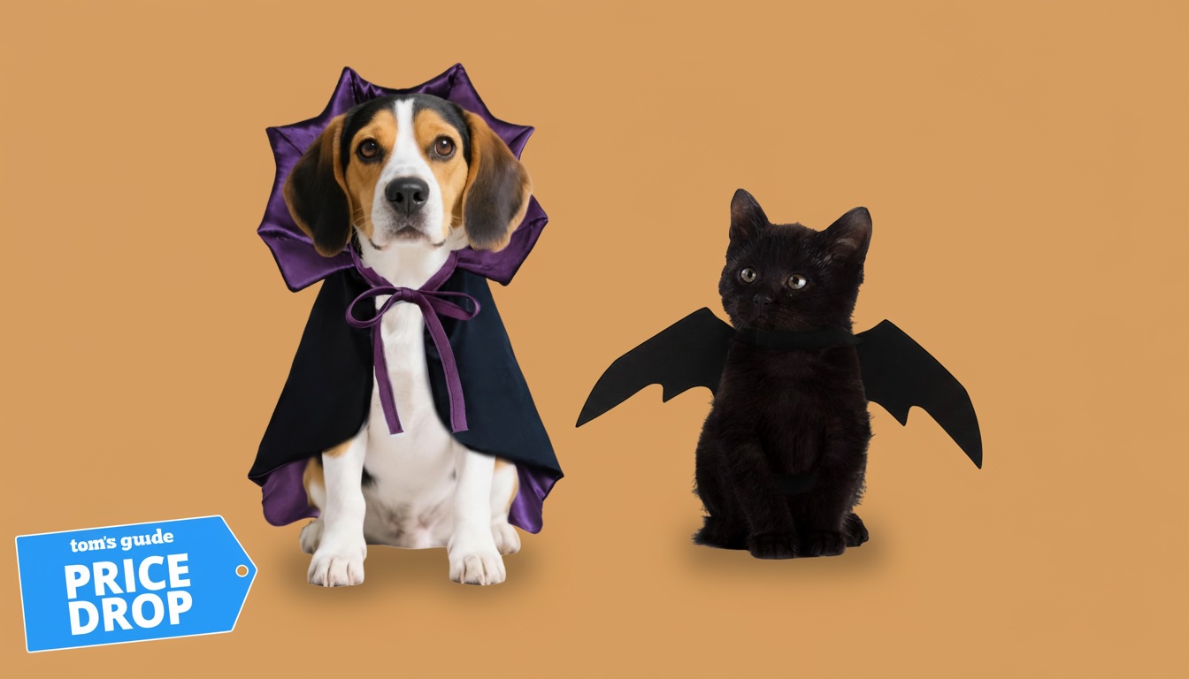 Halloween pet costumes