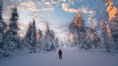 A man stands in a beautiful winter landscape with trees covered in snow