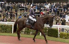Denman-1-15-3-16.jpeg
