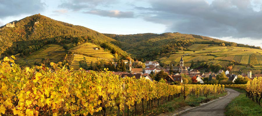 Domaine Jean Sipp Ribeauvill&amp;eacute;