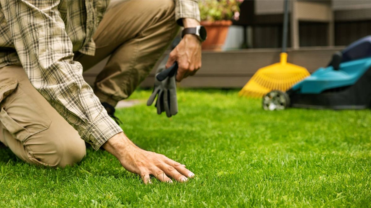 The Lawn Repair Buys To Order Now to Help Your Frazzled Grass Recover – Before Everyone Starts Fixing Their Grass In Fall