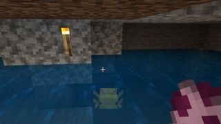 Where to find the Minecraft 1.17 axolotl mob
