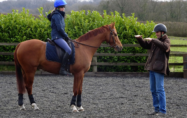 best age to back a horse