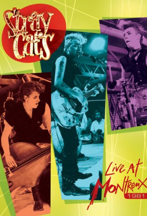 stray cats live download