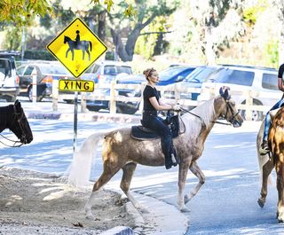 Amber Heard horse riding