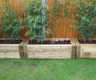 wooden sleeper planters in garden in front of fence planted with banmboo
