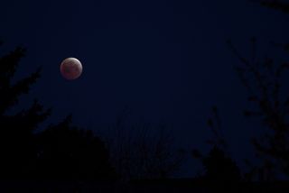 The shortest lunar eclipse of the century created a "blood moon" over parts of the United States and the Pacific Ocean on April 4.