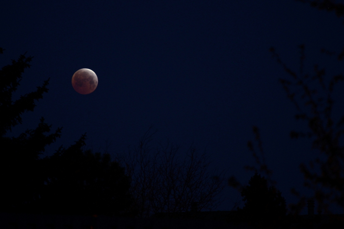 Skywatcher Joe Wiggins snapped this photo of the April 4 total lunar eclipse from his front yard on a cold, cloudless morning in Centennial, Colorado.