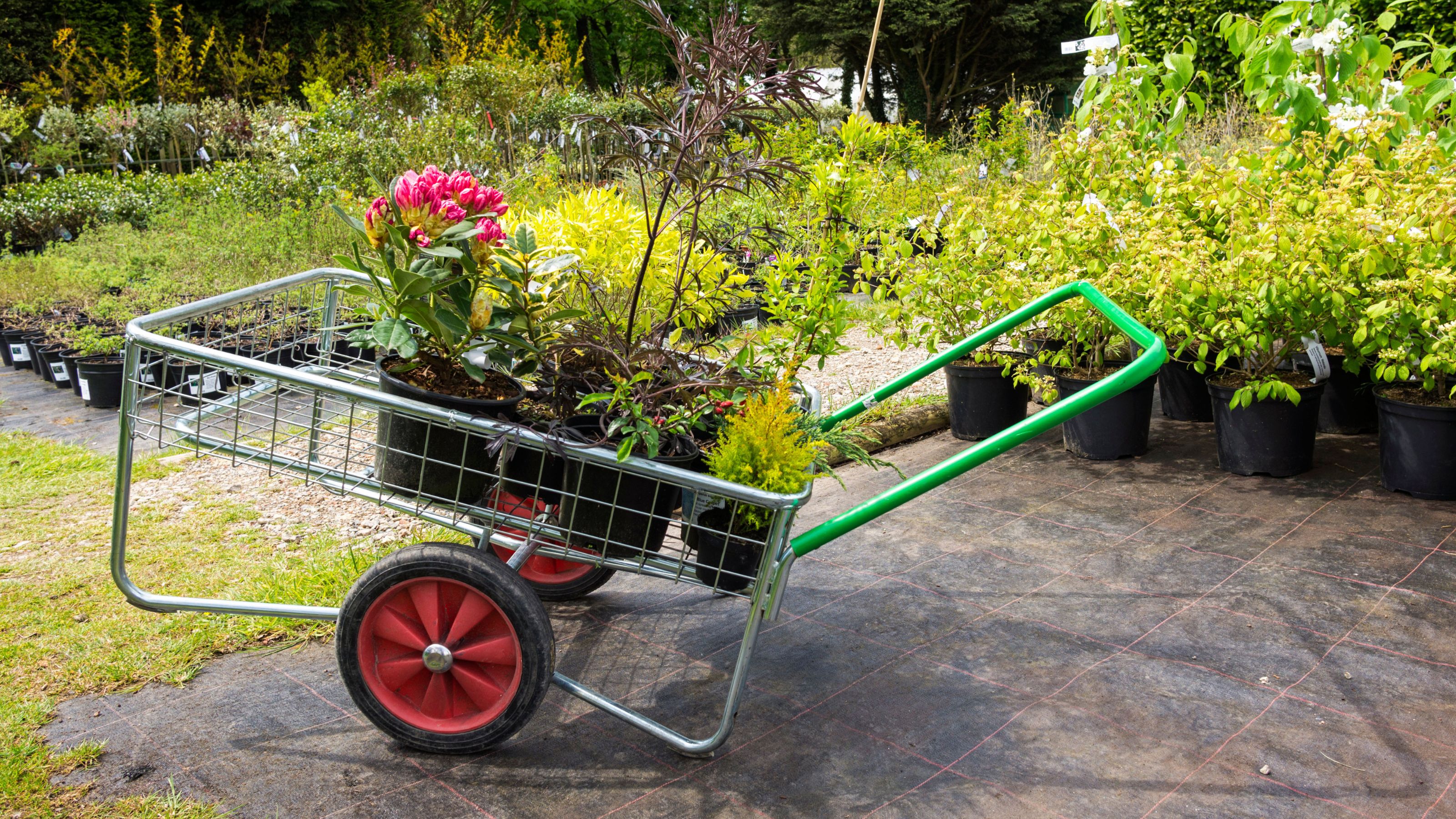 garden centre plants on trolley