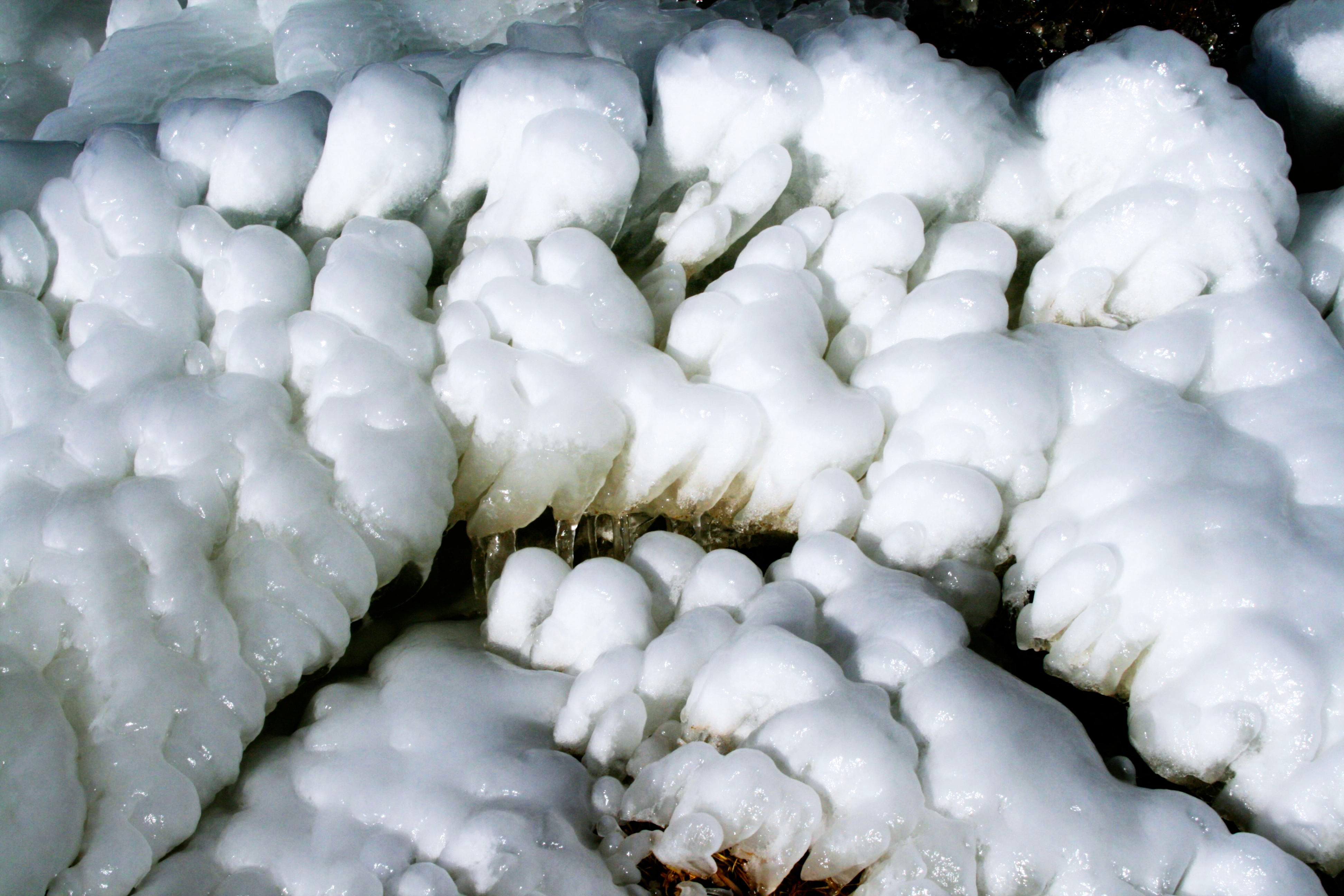 GuruShots - February 2026