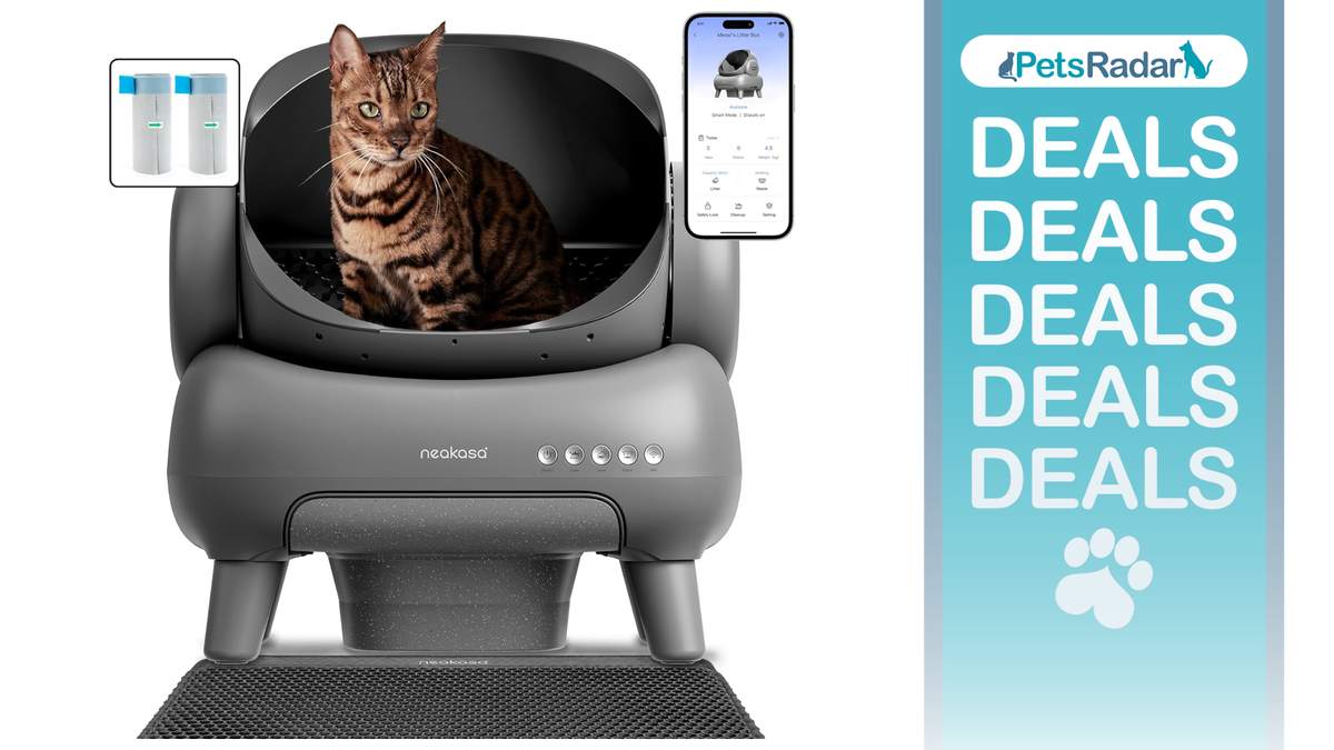 Neakasa M1 Open-Top Self Cleaning Cat Litter Box