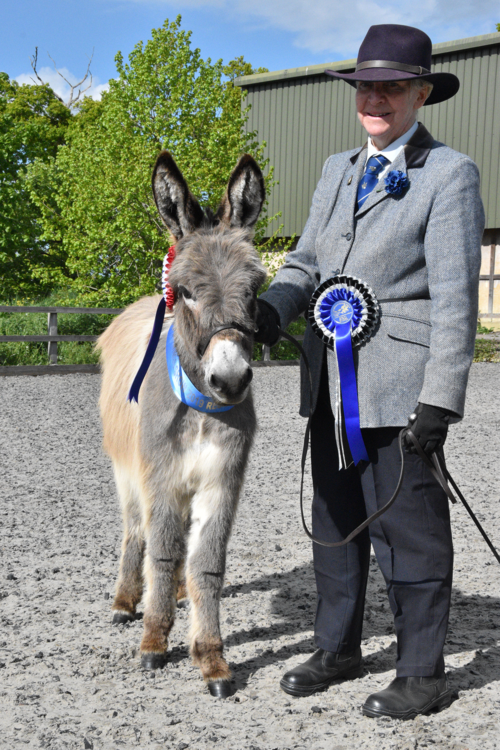 Redwings Show 2019 - Reserve Supreme Champions Diana Dunstan and Perehill Tia 1