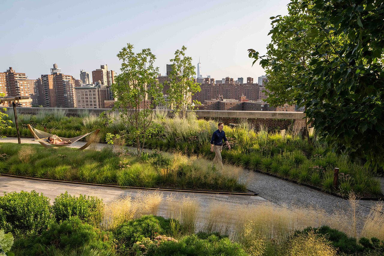 Morgan North gardens with pathways and hammock 