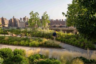 Morgan North gardens with pathways and hammock