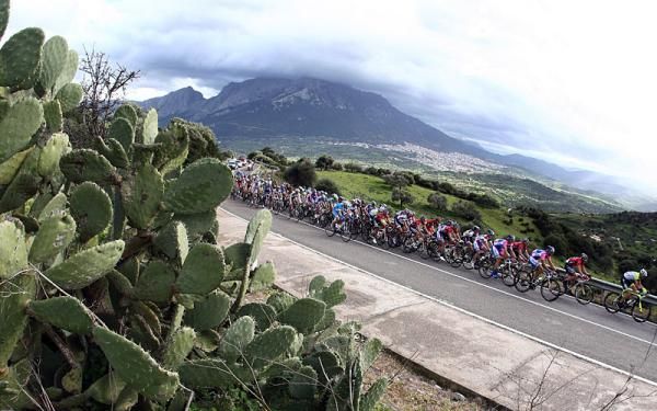 The Giro di Sardegna peloton in action during Wednesday's second stage.
