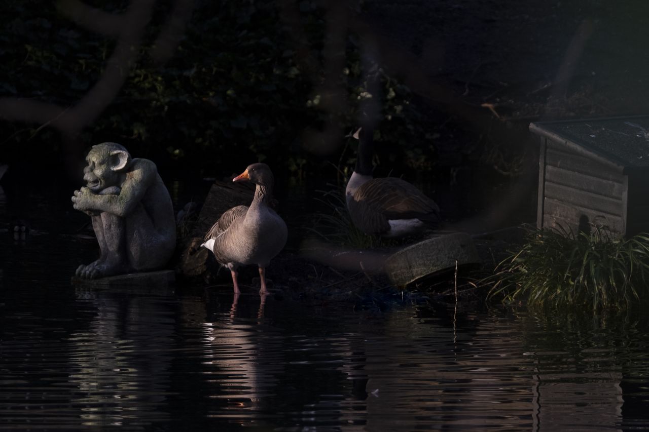 Fujifilm X-S10 sample images