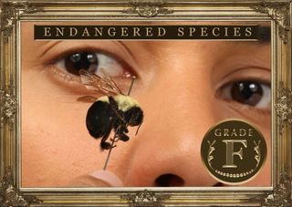 First 100 Days Report Card - Endangered Species