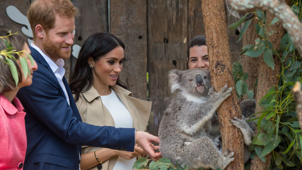 Prince Harry and Meghan Markle royal tour Australia