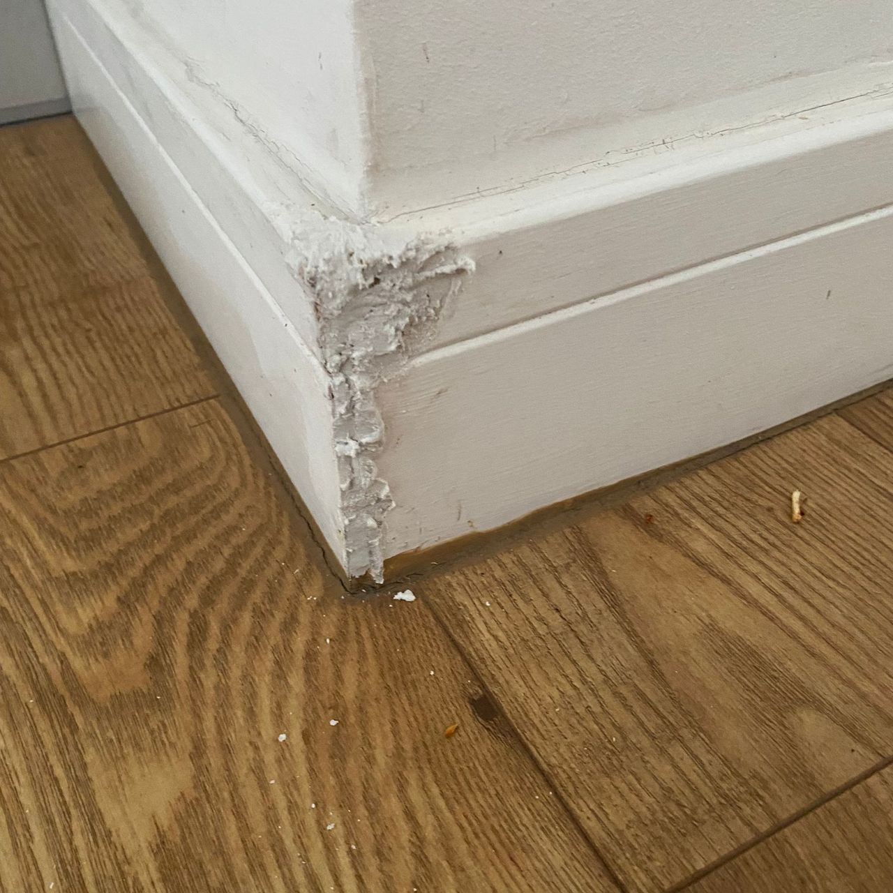 Wood filler applied to chewed skirting boards