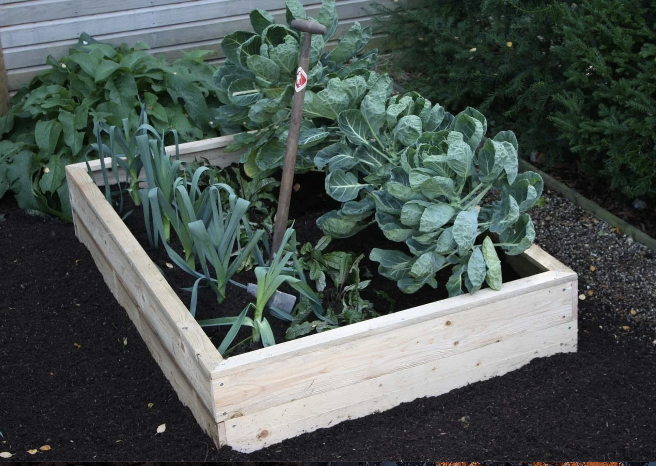 Harrod Horticultural raised beds