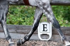 Dressage marker viewed through a horse's legs