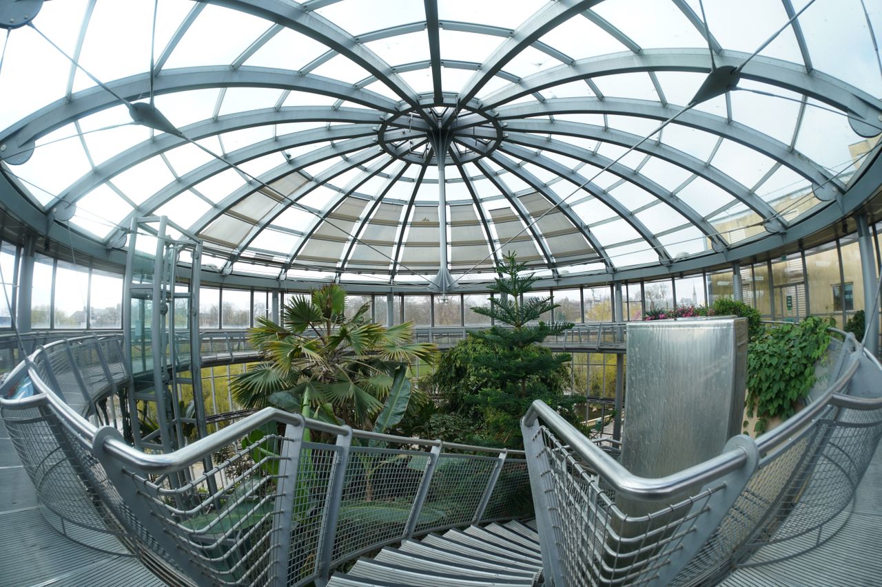 AstrHori 12mm f/2.8 Fisheye lens review