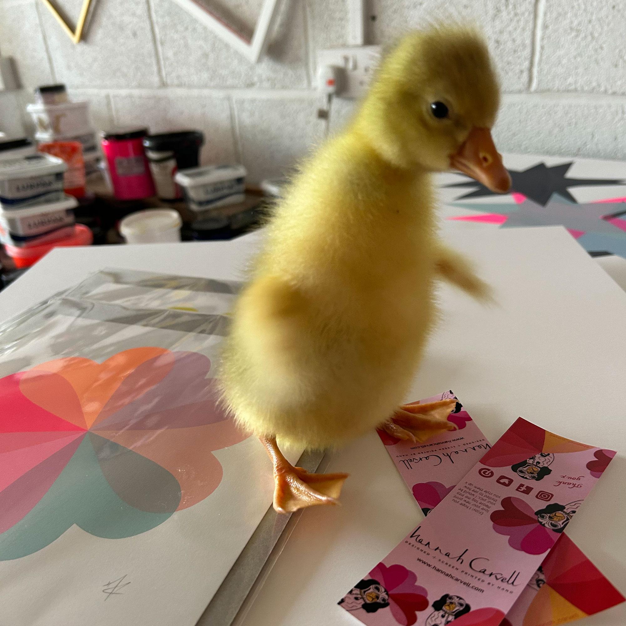 Yellow duckling standing on top of artwork