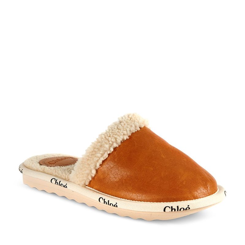 Mink Fur Flat Women Home Slippers With Fur, Soft Suite Flat Mules Dreamy  Slippers For Women Brown Pink Black Homey Shoes From Fashion_company, $2.02