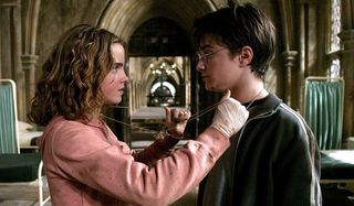 Harry and Hermione Harry Potter