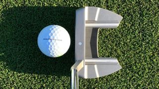 The putter of the TaylorMade RBZ SpeedLite Package Set