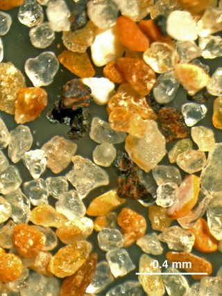 In 1988, geologists Earle McBride and Dane Picard collected a sample of beach sand from Omaha Beach. Back in the U.S., after an initial examination under a microscope, they put aside the Omaha Beach sand as other projects took priority. But about a year a