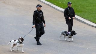 Police dogs at the funeral of HM The Queen Elizabeth II