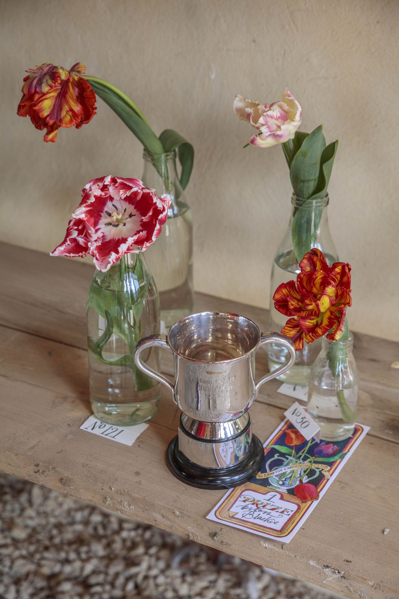 Tulip flowers in bottles