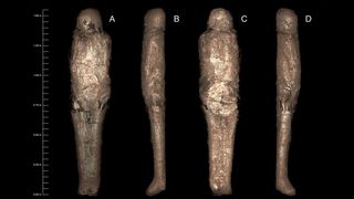 Here are 3D-rendered CT images of the mummified person, showing the mud carapace.