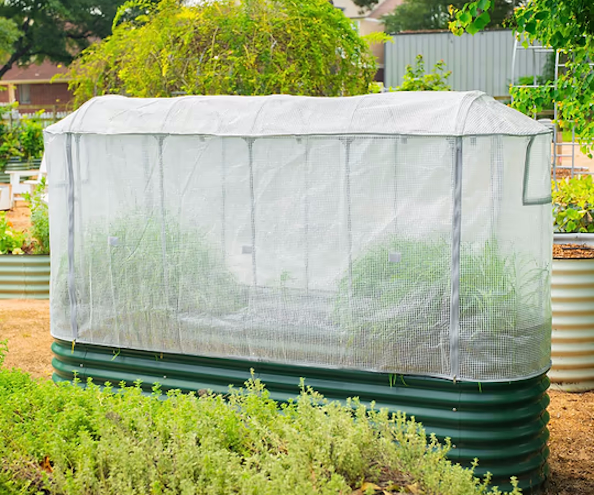 A raised bed with a Vego Garden greenhouse frost cover