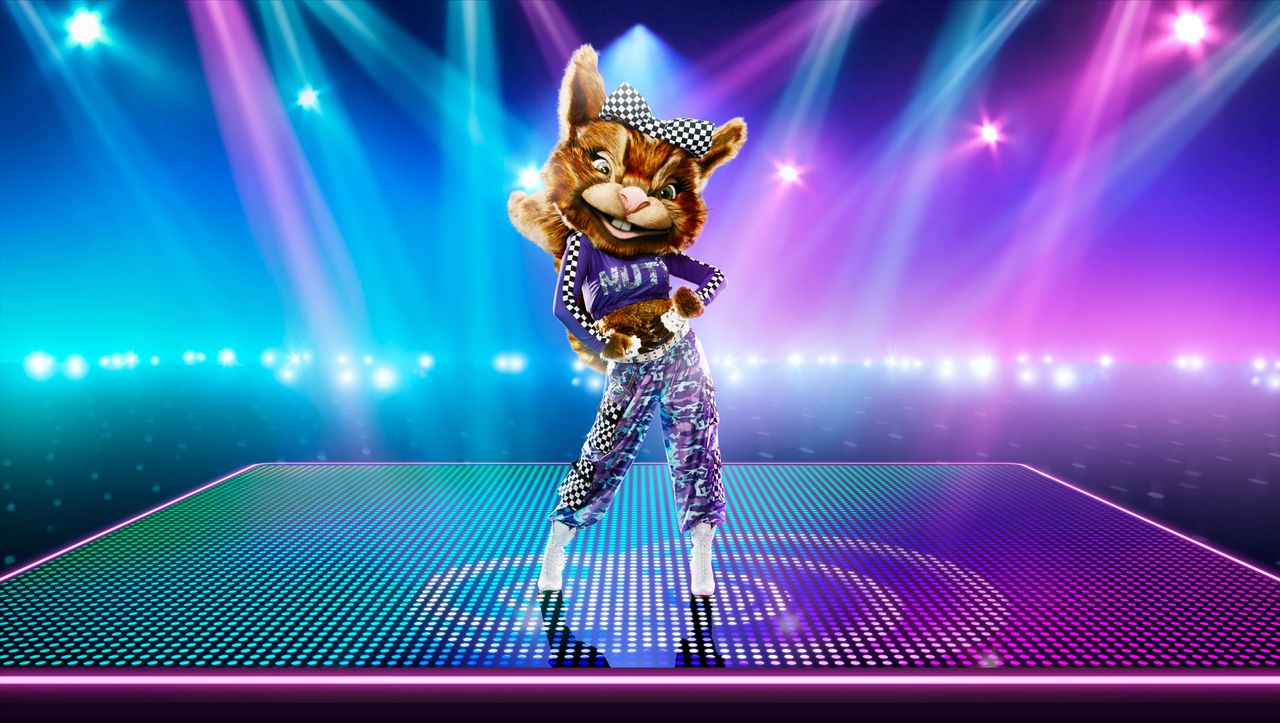 The Masked Dancer Squirrel