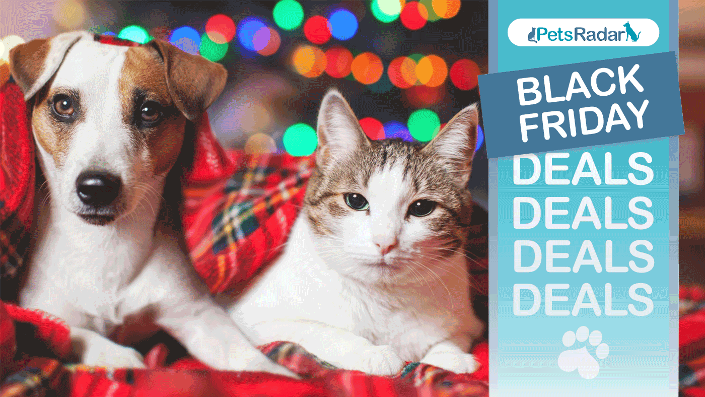 Dog and a cat sitting under tartan blanket, with petsradar black friday deals overlay and gif