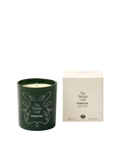 The Tomato Leaf Scented Candle 190g