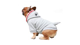 Best Halloween dog costumes: iChoue Dog Halloween Shark Costume